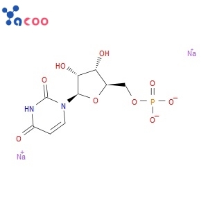 URIDINE-5'-MONOPHOSPHATE DISODIUM SALT