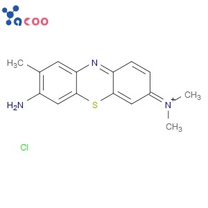 TOLUIDINE BLUE O