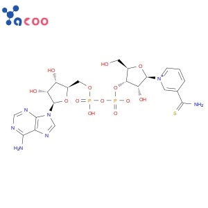 thio-NAD