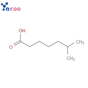 Isooctanoic acid