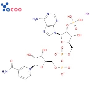 β-Nicotinamide adenine dinucleotide phosphate sodium salt