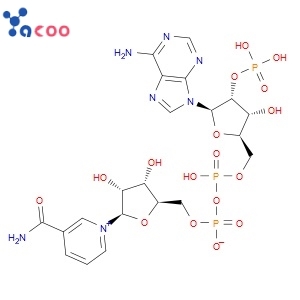 beta-Nicotinamide adenine dinucleotide phosphate
