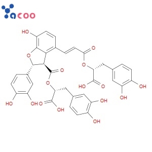 Salvianolic acid B