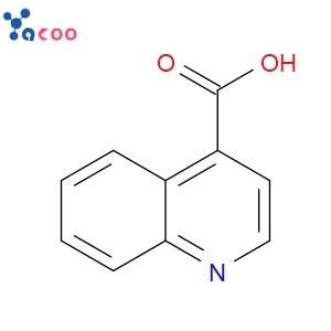 Quinoline-4-carboxylic acid