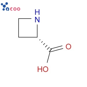 L-AZETIDINE-2-CARBOXYLIC ACID