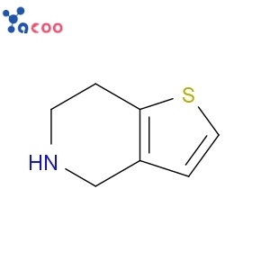 China 4,5,6,7-Tetrahydrothieno[3,2-c]pyridine  CAS54903-50-3 Manufacturer,Supplier