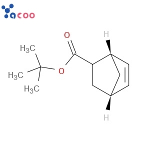 China 5-Norbornene-2-carboxylic t-butyl ester  CAS154970-45-3 Manufacturer,Supplier