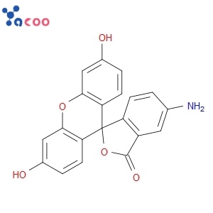 5-AMINOFLUORESCEIN