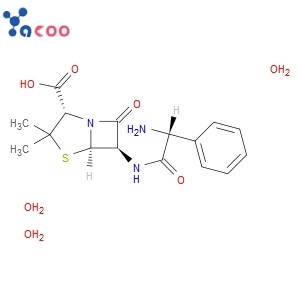 AMPICILLIN TRIHYDRATE