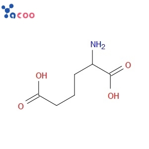 DL-2-AMINOADIPIC ACID