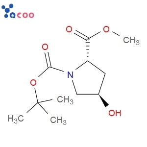 BOC-HYP-OME