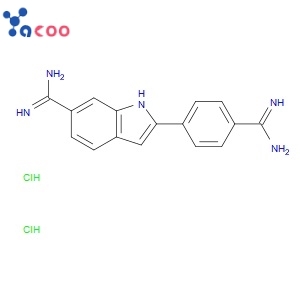 4',6-Diamidino-2-phenylindole dihydrochloride