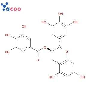 (-)-GALLOCATECHIN GALLATE