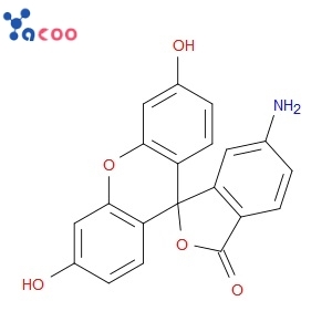 6-AMINOFLUORESCEIN