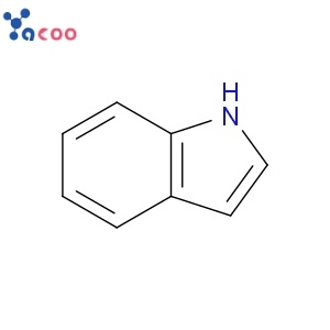 INDOLE