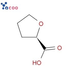 (R)-(+)-Tetrahydro-2-furoic acid