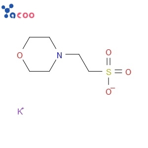 MES POTASSIUM SALT