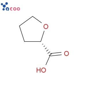 (S)-(-)-2-TETRAHYDROFUROIC ACID