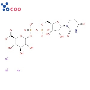 Uridine 5′-diphosphoglucuronic acid trisodium salt