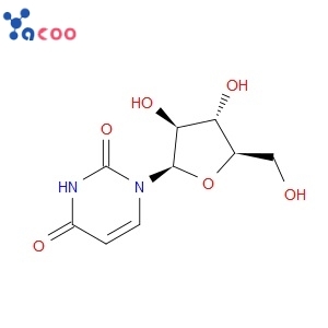 ARABINOFURANOSYLURACIL