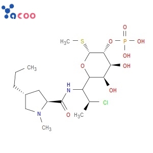 Clindamycin phosphate