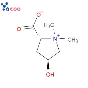 BETONICINE