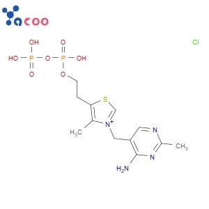 Cocarboxylase