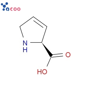 3,4-Dehydro-L-proline