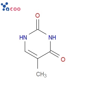 Thymine