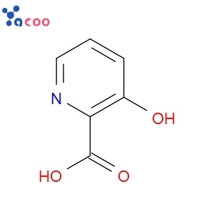 3-HYDROXYPICOLINIC ACID