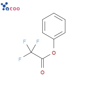 Phenyl trifluoroacetate