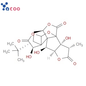 GINKGOLIDE B