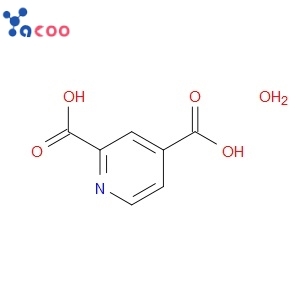 2,4-PYRIDINEDICARBOXYLIC ACID MONOHYDRATE