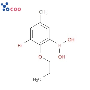 3-BROMO-5-METHYL-2-PROPOXYPHENYLBORONIC ACID