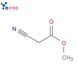 METHYL CYANOACETATE