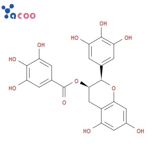 (-)-Epigallocatechin gallate