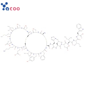 Endothelin 1