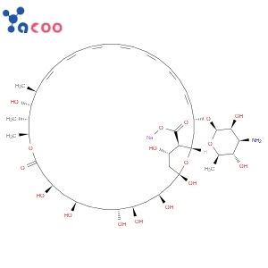 Amphotericin B