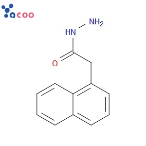 1-NAPHTHALENEACETHYDRAZIDE