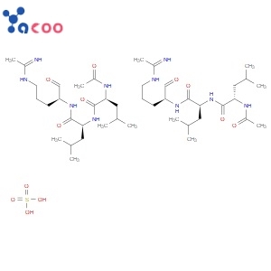 Leupeptin