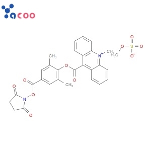 Acridinium ; 2',6'-dimethyl-4'-(N-succinimidyloxycarbonyl)phenyl-10-methyl-acridinium-9-carboxylate methosulfate (DMAE-NHS)