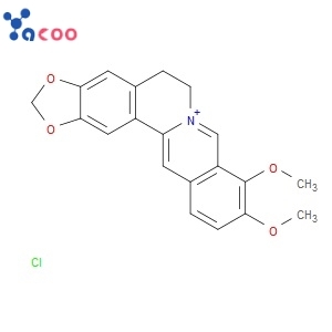 BERBERINE HYDROCHLORIDE