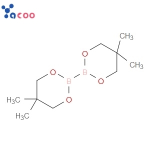 BIS(NEOPENTYL GLYCOLATO)DIBORON