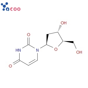 2'-DEOXYURIDINE