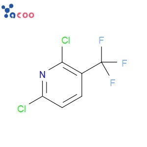 2,6-DICHLORO-3-(TRIFLUOROMETHYL)PYRIDINE