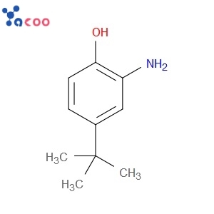 2-AMINO-4-TERT-BUTYLPHENOL