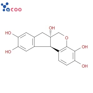 Hematoxylin