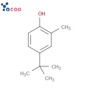 4-TERT-BUTYL-2-METHYLPHENOL