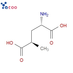 (2S,4R)-4-METHYLGLUTAMIC ACID