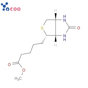 BIOTIN METHYL ESTER